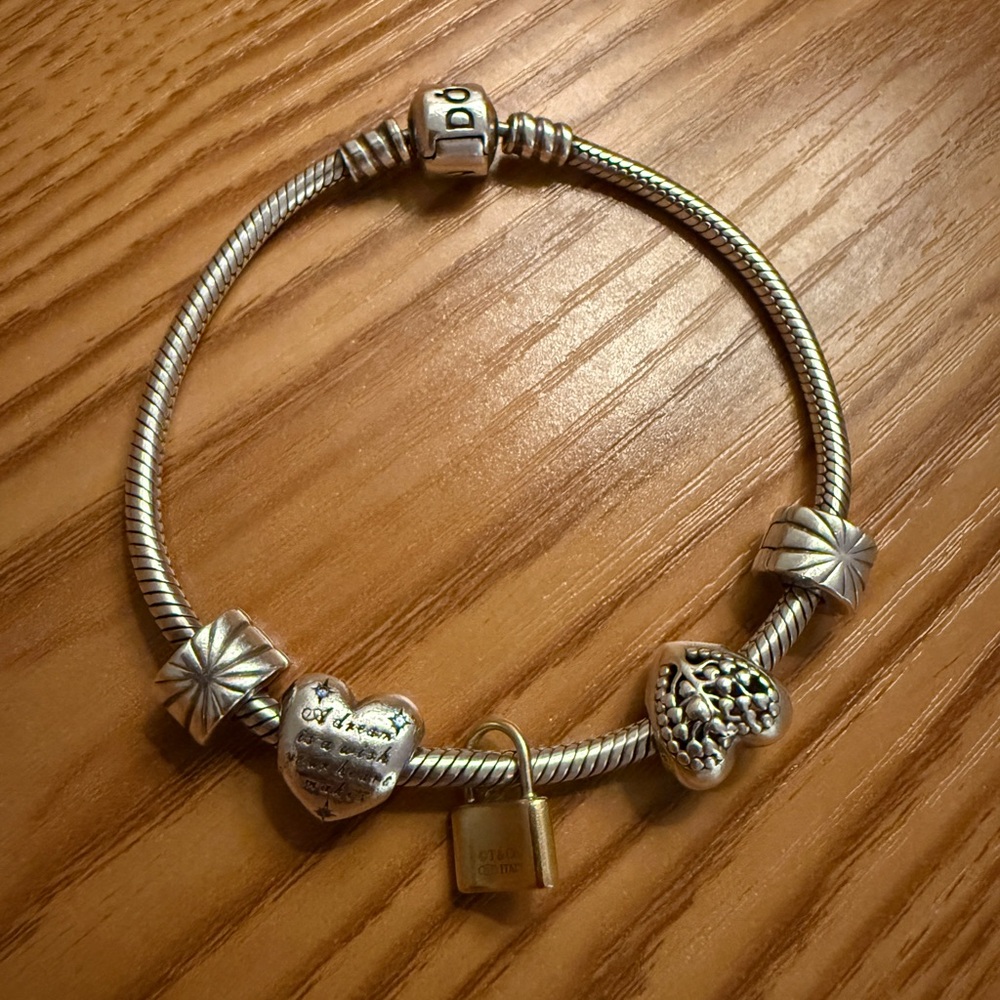 Pandora Bracelet with charms